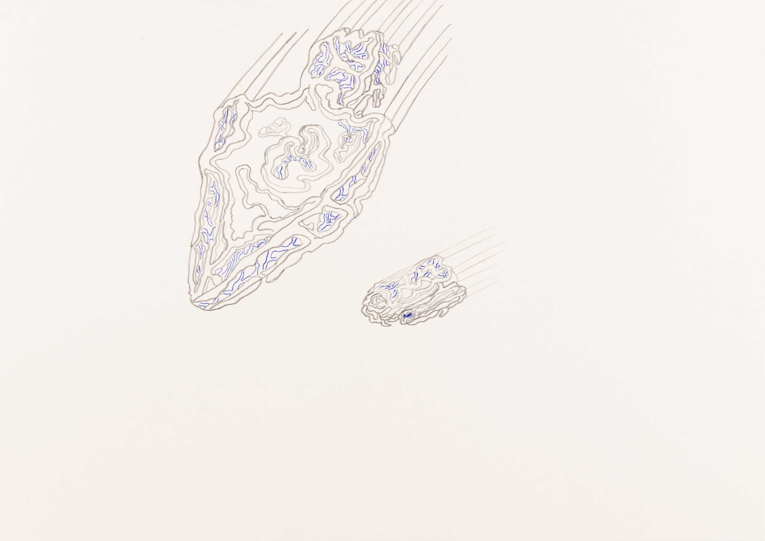 Daniel Scislowski, Ein Raumschiff und ein Pflanzen Shuttle fliegen durch den Kosmos, 15.08.2014, 2014