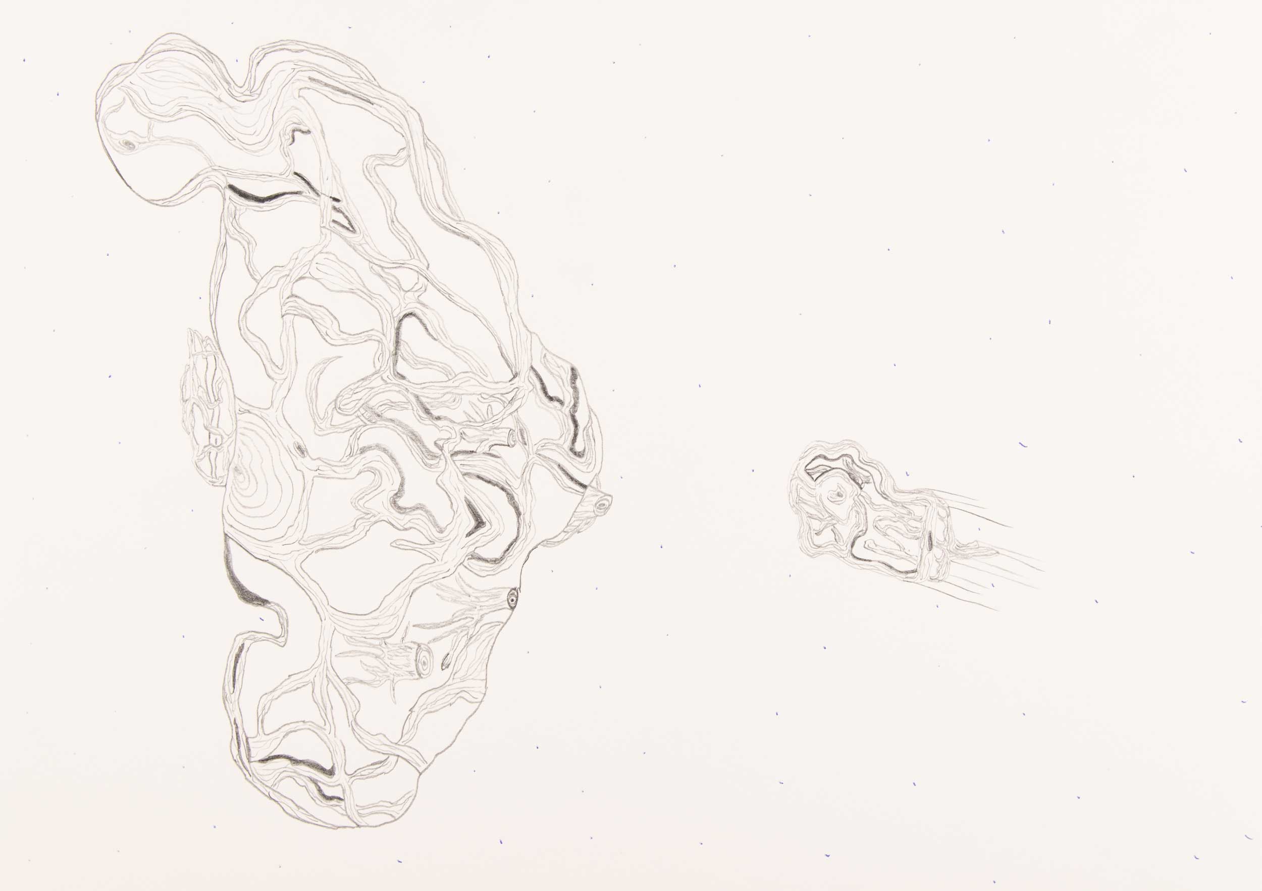 Daniel Scislowski, Ein Pflanzen Shuttle fliegt eine Ast Station an 08.09.2014, 2014