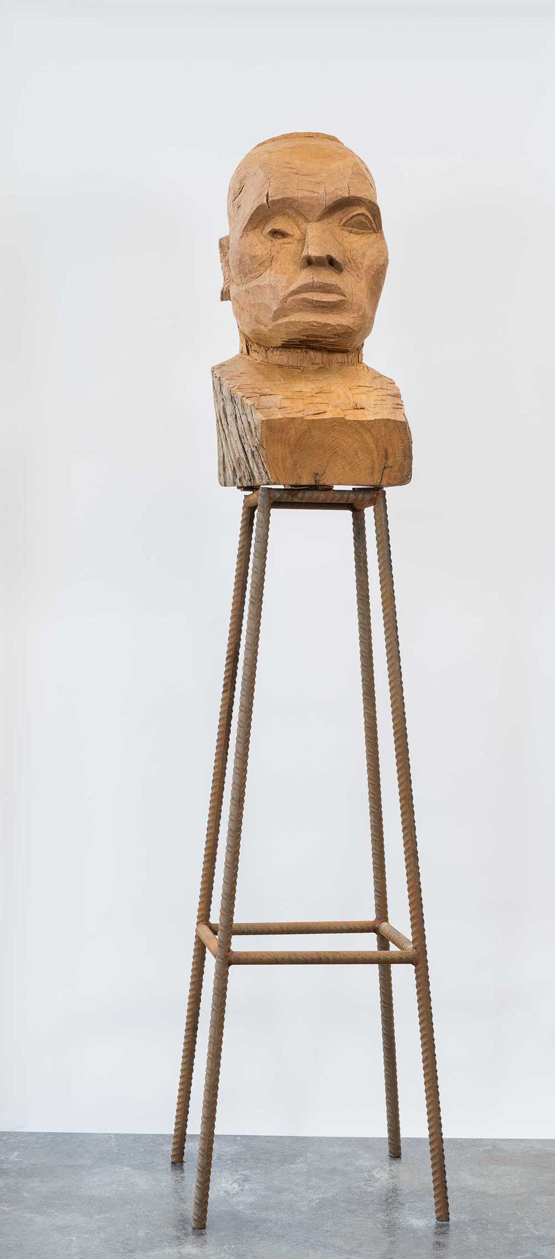 Kader Attia, Culture, Another Nature Repaired (2014-present)