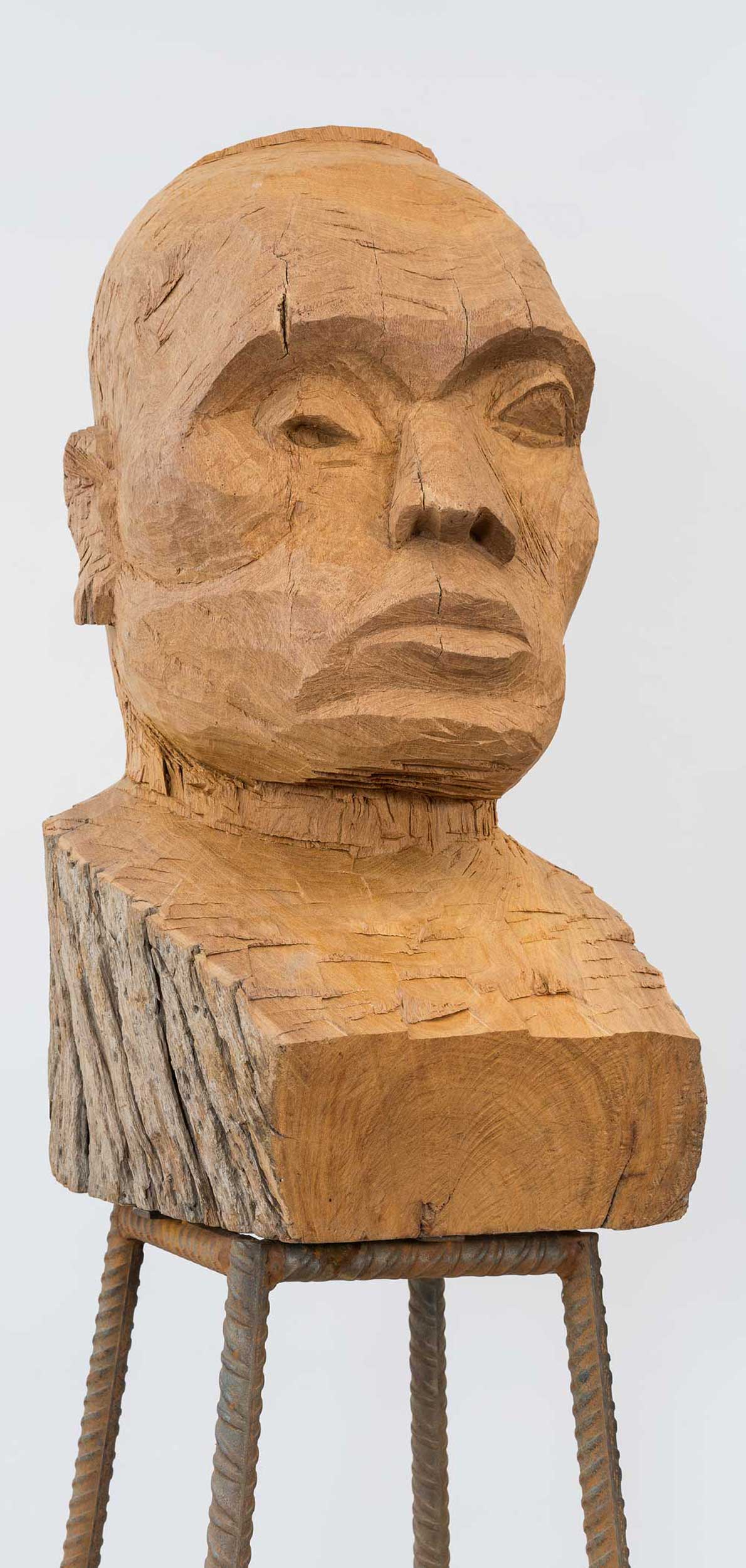 Kader Attia, Culture, Another Nature Repaired (2014-present)